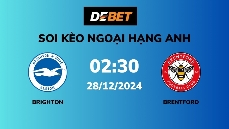Đánh giá chung về Brighton
